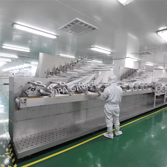 Le migliori salviette umidificate lavabili antibatteriche individuali senza profumo di Palmlove per adulti